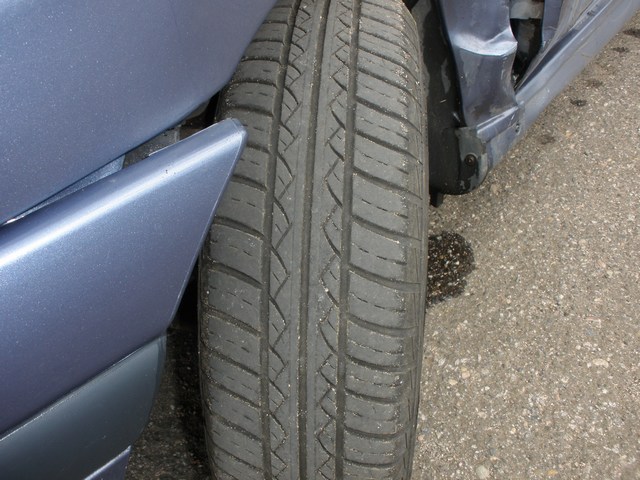 mini-P5210054.JPG